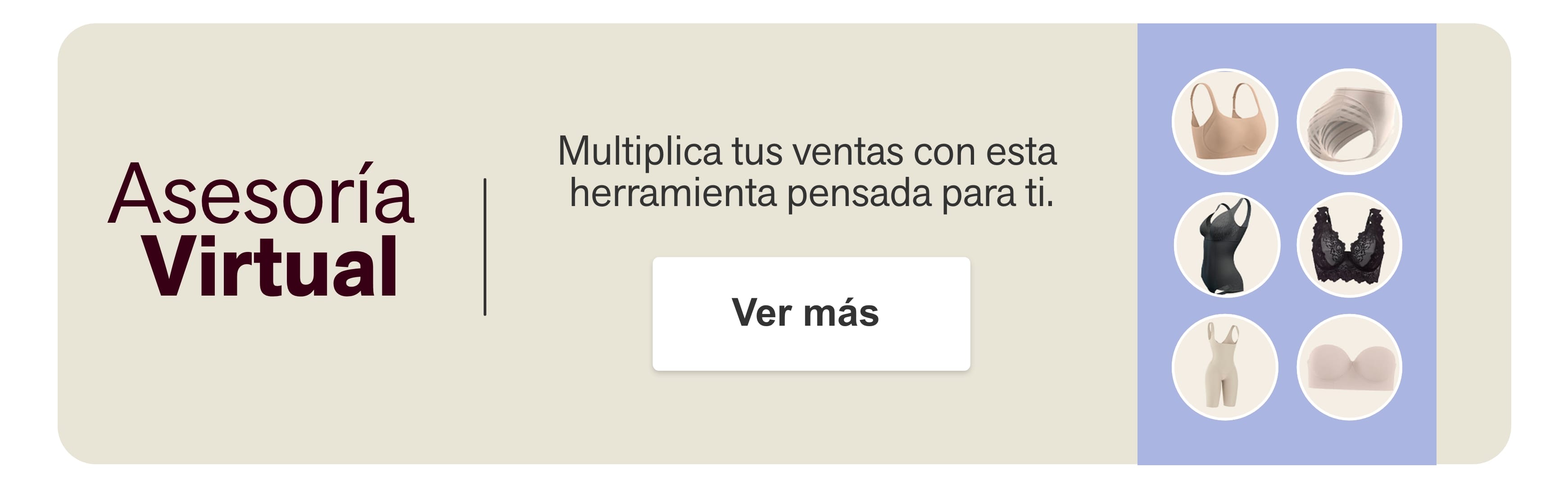 Asesoría virtual