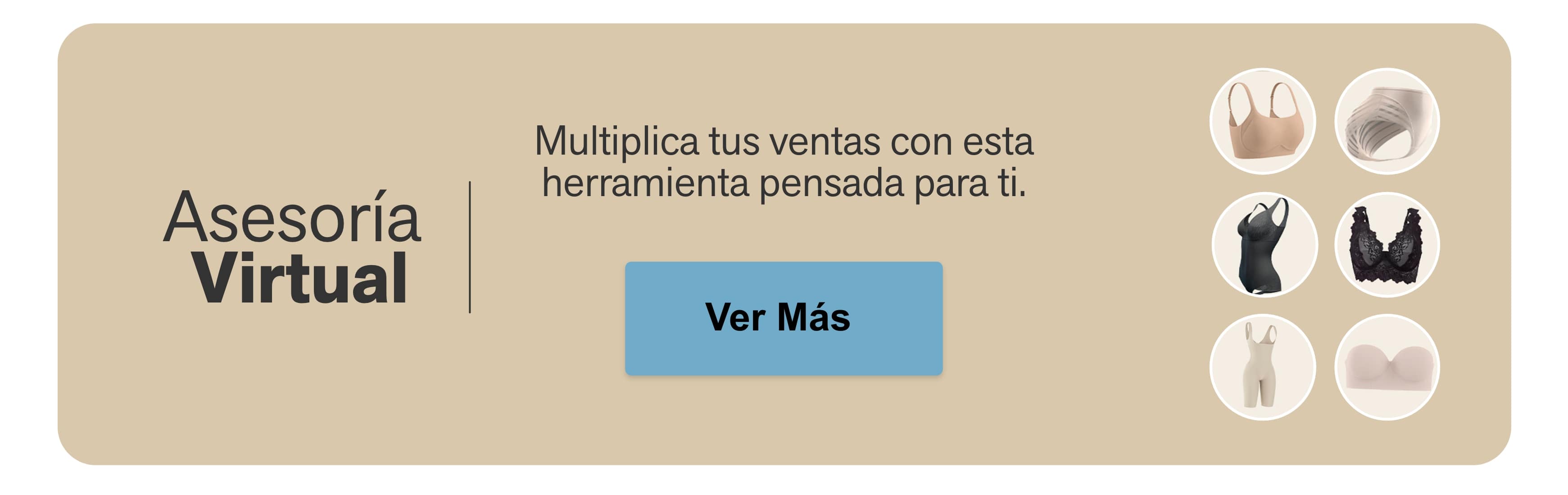 Asesoría  Virtual