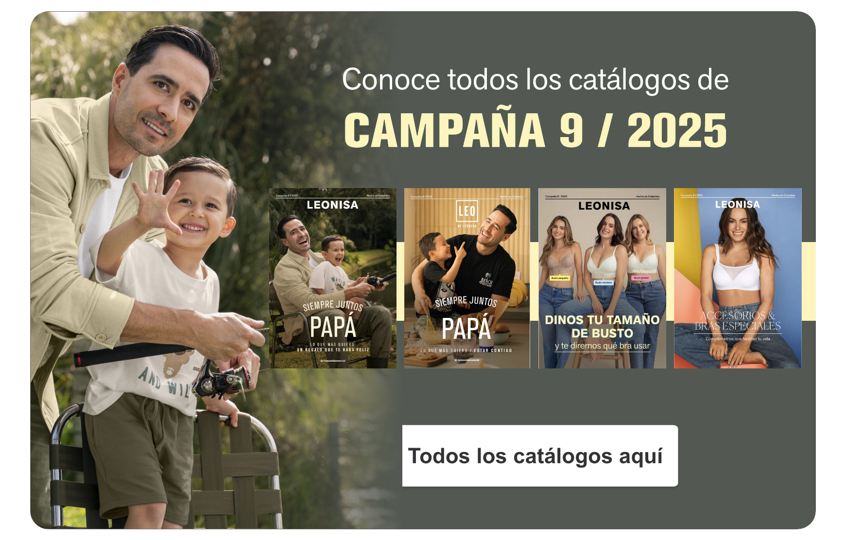 Ver Catálogos