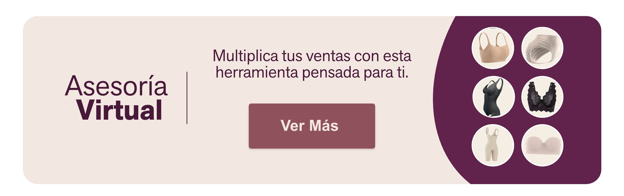 Asesoría  Virtual