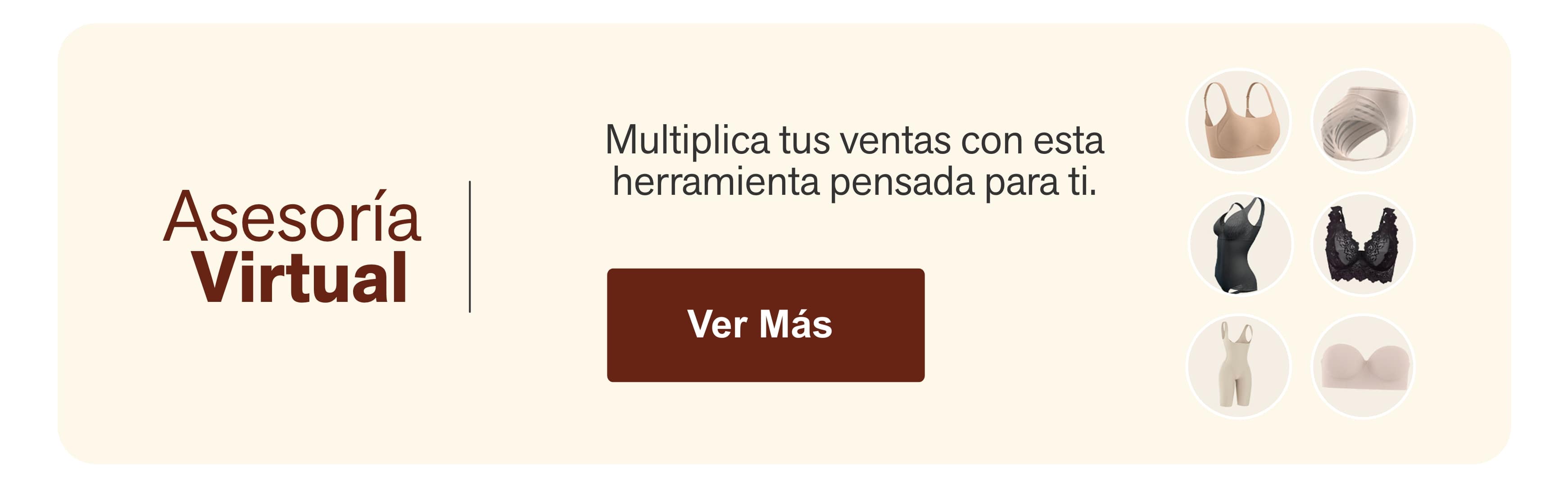 Asesoría  Virtual