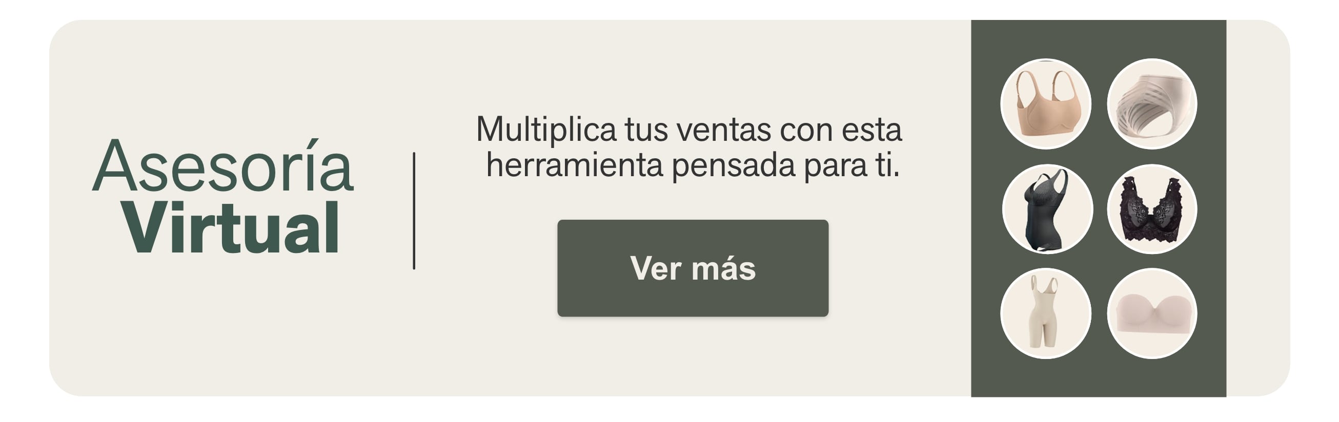 Asesoría  Virtual