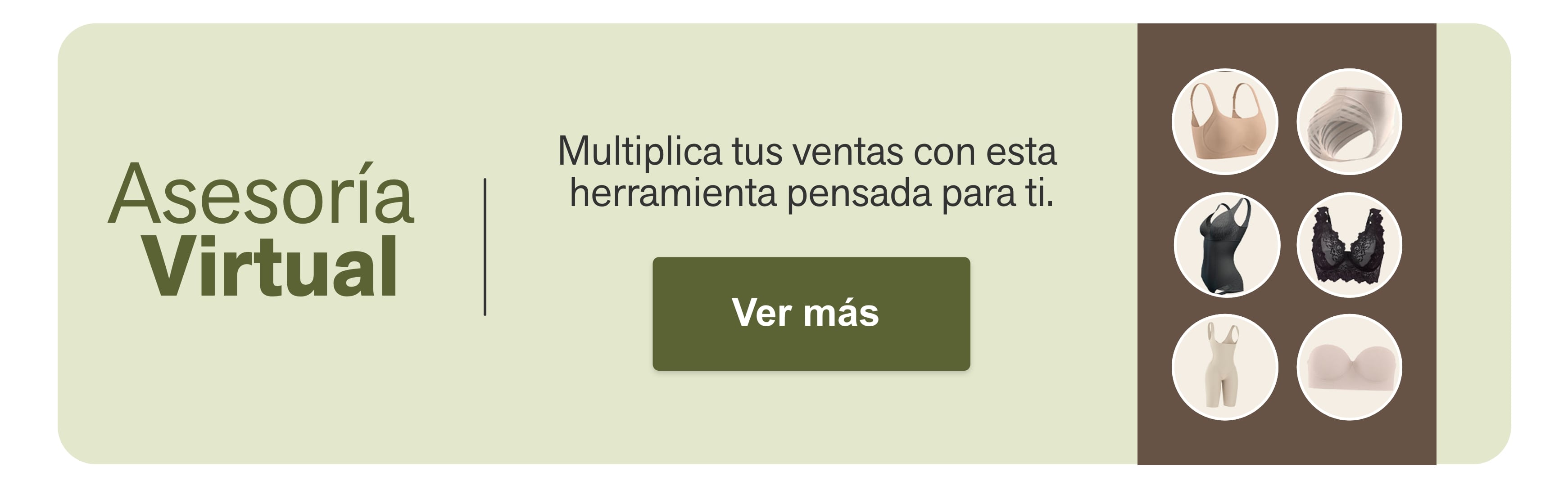 Asesoría  Virtual