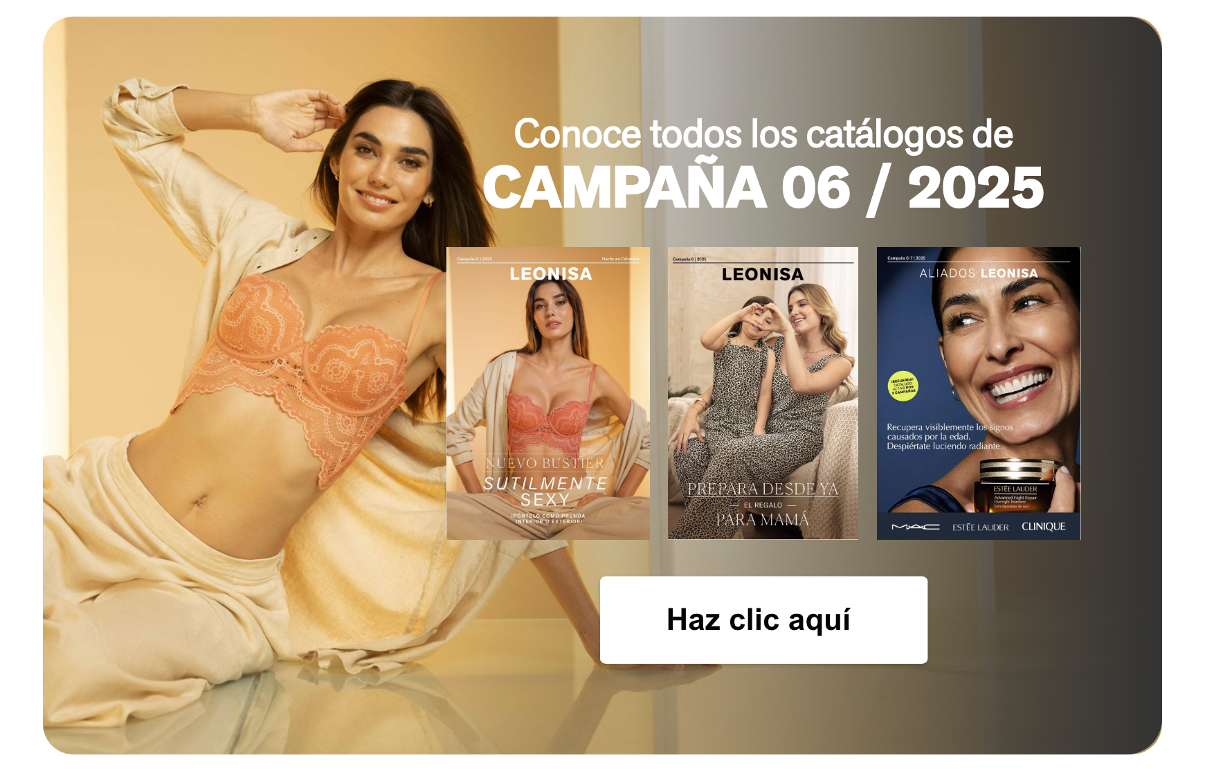 Ver Catálogos