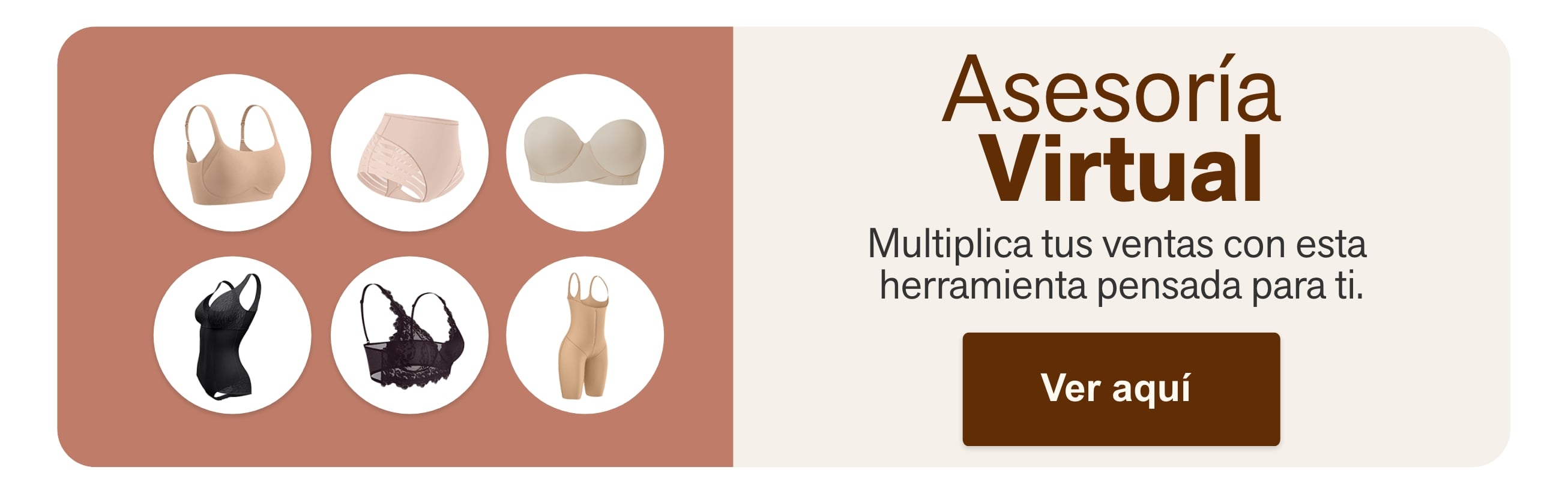 Asesoría  Virtual
