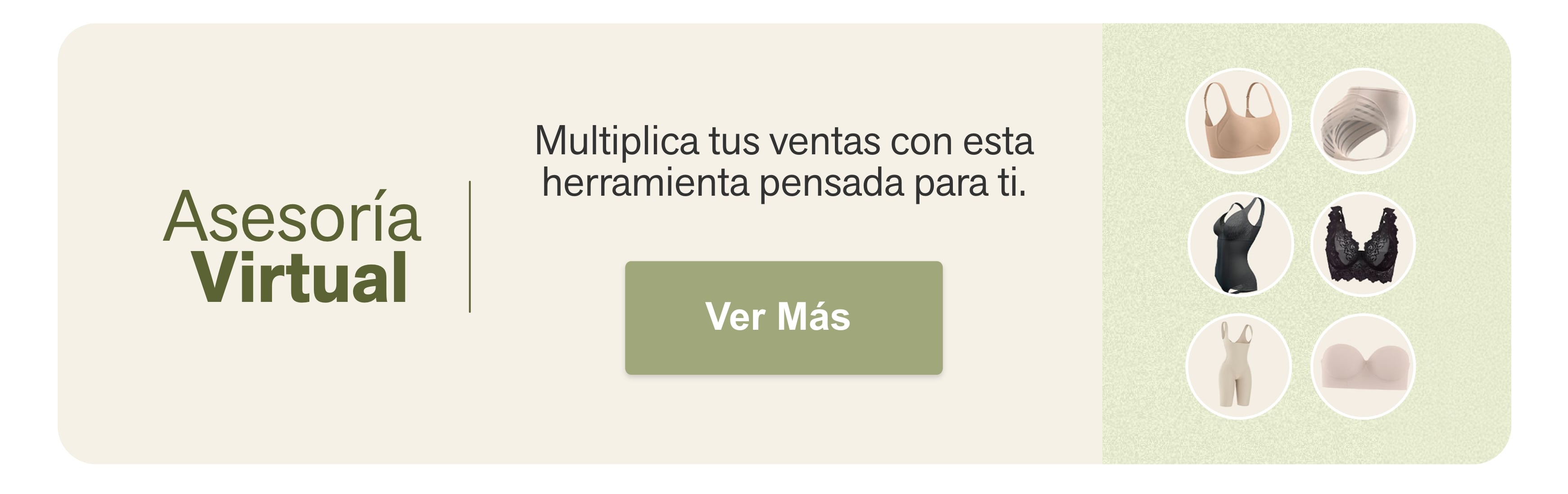 Asesoría  Virtual