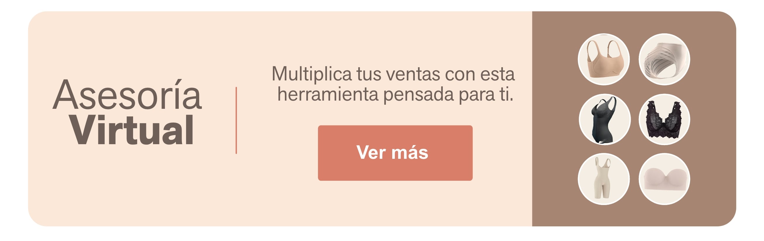Asesoría  Virtual