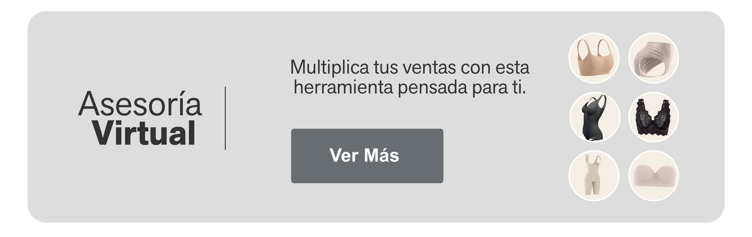 Asesoría  Virtual