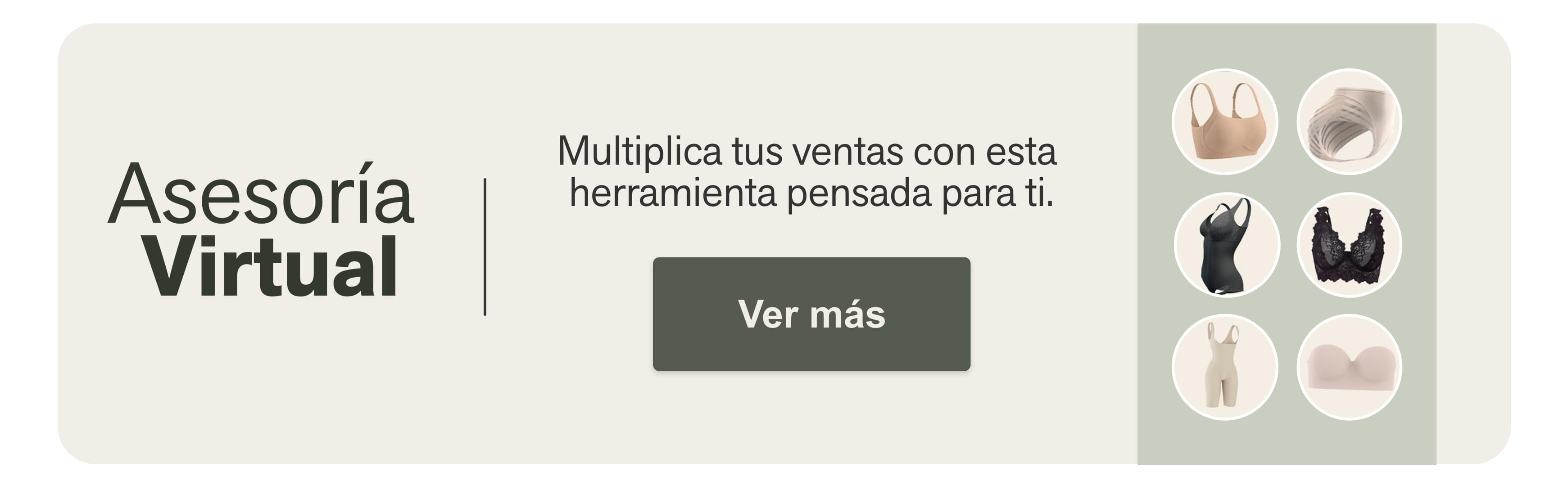 Asesoría  Virtual